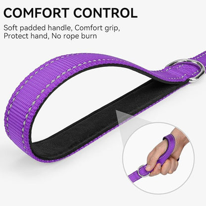 Joytale Dog Leash, 6 FT Double-Sided Reflective, Padded Handle Nylon Heavy Duty Leashes for Medium & Large Dogs Walking, Purple