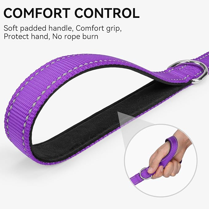 Joytale Dog Leash, 5 FT Double-Sided Reflective, Padded Handle Nylon Heavy Duty Leashes for Small Dogs Walking, Purple