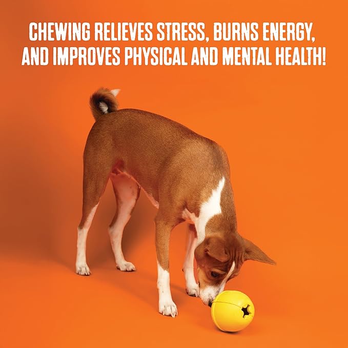 BULLYMAKE Blue Tough Chew Controller Toy for Dogs, Durable Nylon Dog Toys for Aggressive Chewers, Dental Stimulating, Tough Chew, Boredom Busting, Pet Supplies, Made in USA