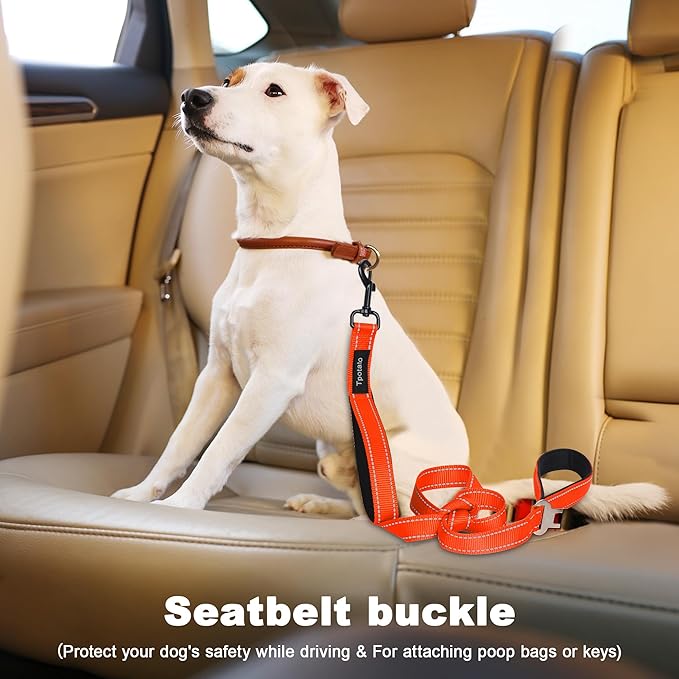 6 Foot Orange Dog Leashes for Large Medium and Small Breed Dogs That Pull,Reflective Nylon Heavy Duty Dog Leash with 2 Comfortable Padded Traffic Handles and Car Seat Belt for Walking and Training