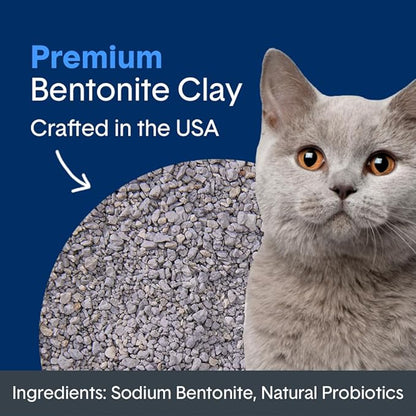 Boxie® Probiotic 40 Day Natural Odor Control Cat Litter, 16lb Clumping Clay Kitty Litter (Pack of 2)
