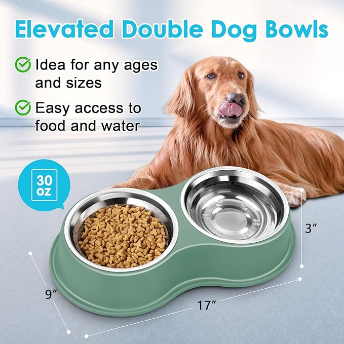 Large Double Dog Water and Food Bowls, Stainless Steel Bowls with Non-Slip Resin Station, Pet Feeder Bowls Food Dish for Small Medium Large Dogs Cats