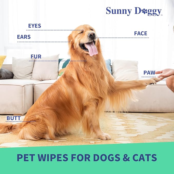 Pet Wipes 80 Count, Dog Wipes Cleaning Deodorizing Cat Wipes, 8 x 8 Inch Dog Grooming Wipes for Butt Paws Ear Eyes and Body (Pack of 2)