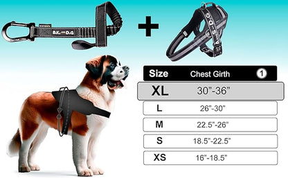 BIKE AND DOG - Dog Leash and Harness for Bicycle, Harness with 3 Rings, 2 are Sides, Includes 2 Special Cable Ties for Bicycle. Patented. (Black, Leash & Harness XL)