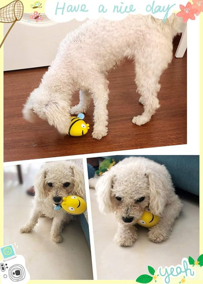 CloverU Dog Squeaky Toys Safe Latex Rubber Dog Chew Molar Toy Interactive Toy for Puppy Small Medium Dogs (Banana)