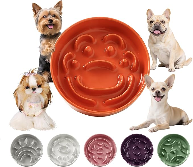 Ceramic Slow Feeder Dog Bowl - Feeding Dish for Fast Eaters - Maze Dog Bowl to Slow Down Eating - Ideal Food Control Dish for Small Breeds - 0.8 Cups (80g) - 6.3 Inch - Orange