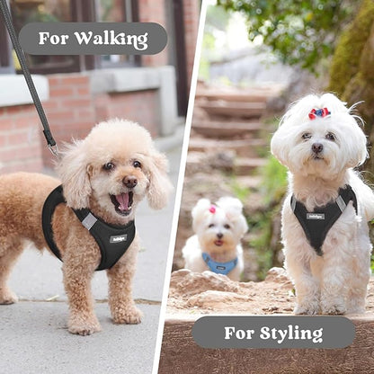 rabbitgoo Small Dog Harness, Step-in Soft Mesh Puppy Vest with Safety Buckle, Breathable Reflective Pet Harness for Small Sized Dogs, Black M