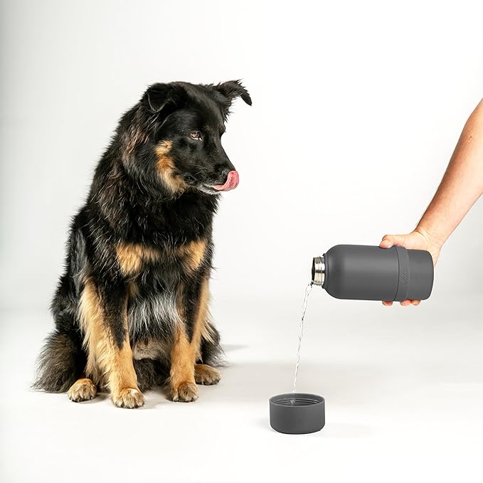 Ubbi Pup & Me Insulated Stainless Steel Dog Water Bottle with Attached Bowl, 32 oz Portable Leakproof Travel Bottle for Dogs and Owners, Charcoal Gray