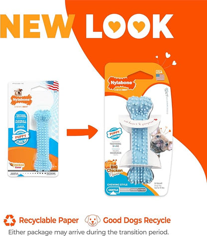 Nylabone Puppy Chew Blue Textured Teething Bone - Chewing Toys for Puppies - Puppy Supplies - Chicken Flavor, X-Small Dogs - Up to 15 Ibs, 1 Count