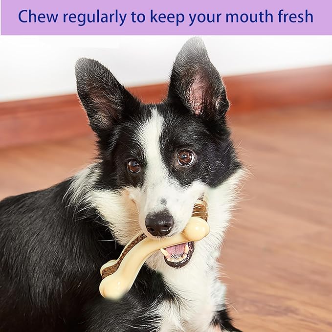 Dog Bones Chew Toys for Aggressive Chewers, 2 Pack Real Beef Flavor,Indestructible Dog Teething Chew Toys for Large/Medium/Small Breed,Tough Toy with Durable Nylon