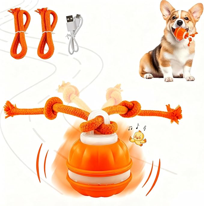 P06 Interactive Dog Toys Dog Balls, Electric Automatic Moving and Rolling Dog Toy with Rope for Small Medium Dogs, Fun Smart Puppy Toy s for Boredom & Training, Dog Toys to Keep Them Busy (Orange)