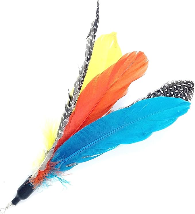 Pet Fit For Life - Retractable Feather Wand for Cats - Durable Interactive Cat Toy, Teaser Fishing Pole with Feather Lures - Fun Kitten Play Wand, 2 Feathers with String and Flying Fish Attachment