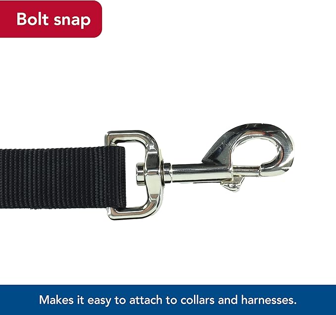 Coastal Pet Single-Ply Dog Leash - Sturdy Pet Leash - Comfortable & Stylish - Resists Fraying - Vibrant & Fade-Resistant Color - Black, 3/8" x 6'