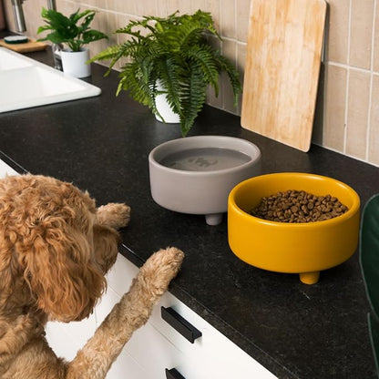Waggo Uplift Ceramic Dog Bowl for Small Medium and Large Breeds - Heavyweight and Durable Pet Food and Water Dish Crock, Dishwasher Safe, Modern, Elevated Feeder (Clay, Small)