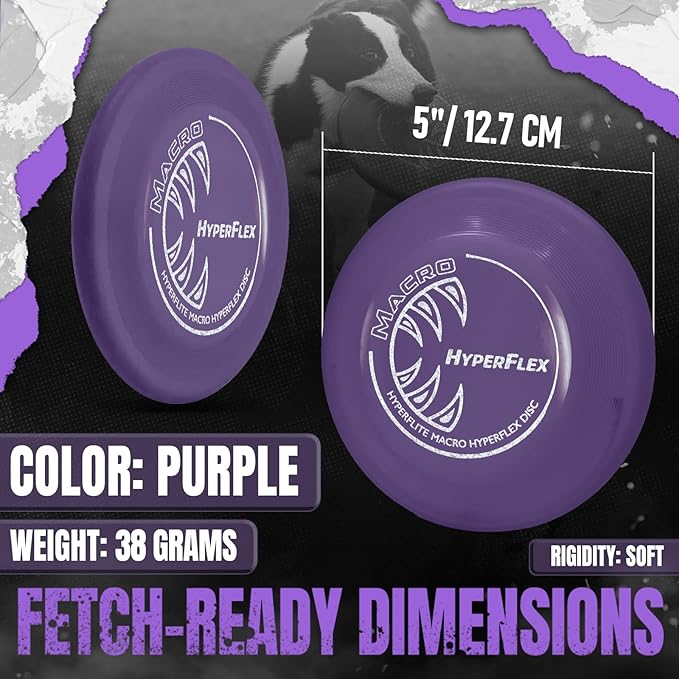 Hyperflite Macro Hyperflex Dog Disc 5" (38g) | Ultimate High Flying Disc for Dogs | Official Skyhoundz Competition Disc for Training, Fetch & Pool Games | Durable | Anti-Glare - Purple