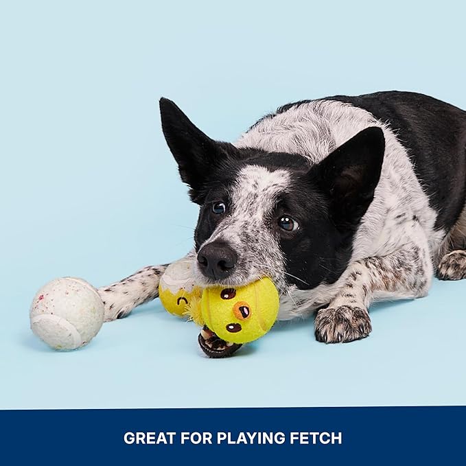 Barkbox Play Hatch Rubber Tennis Balls for Dogs & Puppies | Trio of Squeaky Fetch Balls for Bounce, Chase & Play | Durable, Engaging & Fun for Playful Pups