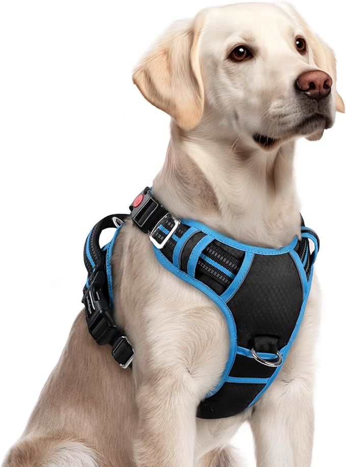 rabbitgoo Dog Harness for Large Dogs, No Pull Pet Vest with 3 Buckles, Adjustable Soft Padded Pet Harness with Easy Control Handle and Reflective Strips, Black & Sky Blue, L