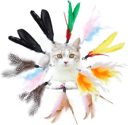 12 Pack Cat Wand Refill Cat Feather Toys Refills with Bells Feathers Toy Natural Feather Replacement for Exercise Play Vibrant Wand Attachments Safe Cats Toy Accessories for Bored Indoor