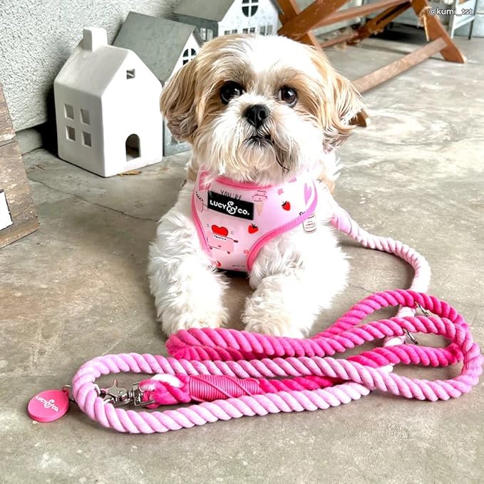 Cupid's Crush Hands-Free Rope Leash