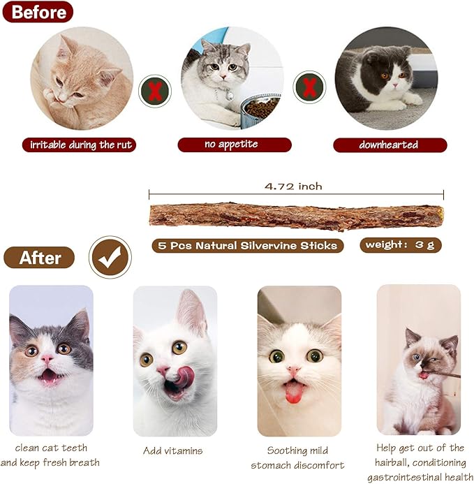 Fashion&cool Cat Wand Toy, 3pcs 16 Inch Natural Wooden Teaser With 5 Pcs Silvervine Sticks, Interactive Elastic String Stick Pole for Indoor Cats