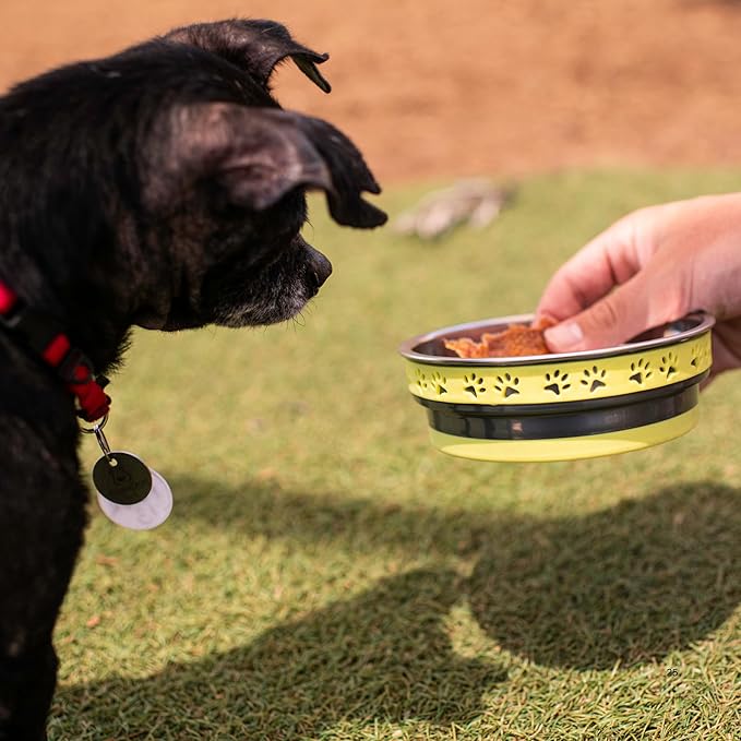 Loving Pets Corsa Dog Bowls- Stainless Steel Dog & Cat Bowls - Spill Proof Dog Food Bowl, Cat Bowl, Puppy Essentials & Pet Supplies Great for Home & Travel (Medium 20-35 lbs, Lightning Yellow)