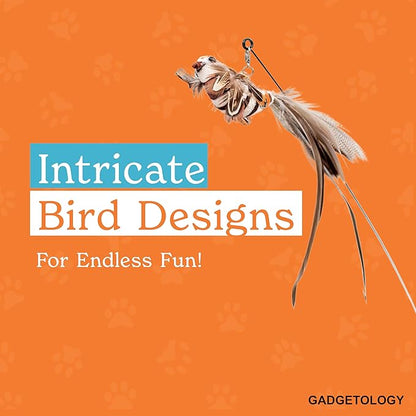 Bird Toy for Cats - 5 Pack Natural Feathers Stable Round Base - Interactive Wand Teaser - Self Play Hunting Enrichment - Bored Indoor Adult Feline Activity - Stimulating Kitten Juguetes para Gatos