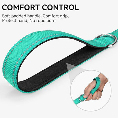 Joytale Dog Leash, 6 FT Double-Sided Reflective, Padded Handle Nylon Heavy Duty Leashes for Medium & Large Dogs Walking, Teal