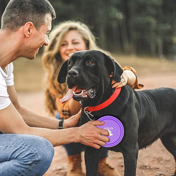 Collapsible Dog Bowls for Travel, 2-Pack Dog Portable Water Bowl for Dogs Cats Pet Foldable Feeding Watering Dish for Traveling Camping with Carabiners, BPA Free (Purple&Pink, Small (Pack of 2))