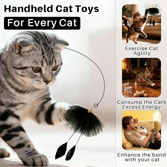 Walfront Interactive Cat Toy with Black Feather, Natural Feathers for Cats, Engaging & Energy-Boosting Fun Cat Exercise Toy for Active Cats & Kittens, Durable & Safe for Pets