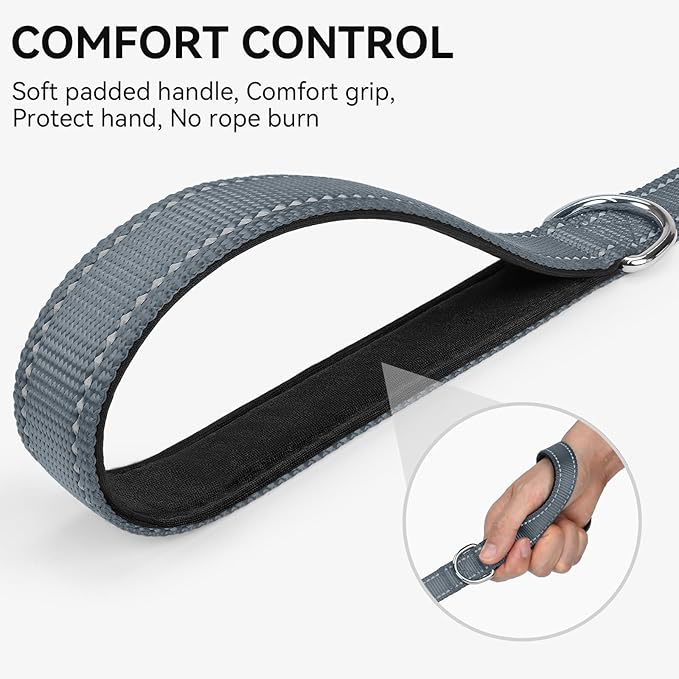 Joytale Dog Leash, 4 FT Double-Sided Reflective, Padded Handle Nylon Heavy Duty Leashes for Medium & Large Dogs Walking, Grey