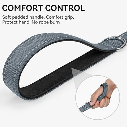 Joytale Dog Leash, 5 FT Double-Sided Reflective, Padded Handle Nylon Heavy Duty Leashes for Small Dogs Walking, Grey