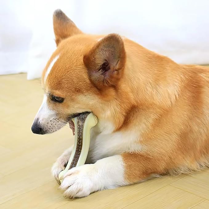 Dog Bones for Aggressive Chewers, 2 Pack Real Beef Flavor Puppy Teething Toys for Medium/Small Breed Dogs, Durable Nylon Dog Chew Toys