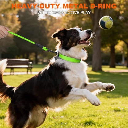 Taglory Reflective Dog Collar with Safety Locking Buckle, Soft Neoprene Padded Dog Collar for Medium Dogs, Metal D-Ring, Adjustable Nylon Neck Strap for Daily Walking, Training & Running, Green, M