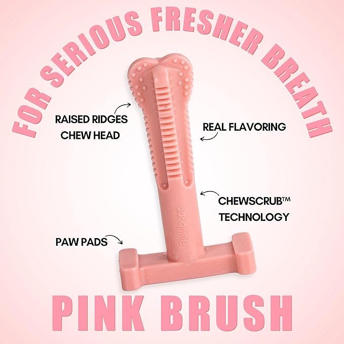 Bullibone SuperBrush Dog Dental Chew Toy for Large Breeds (3 Pack) - Pink Peppermint