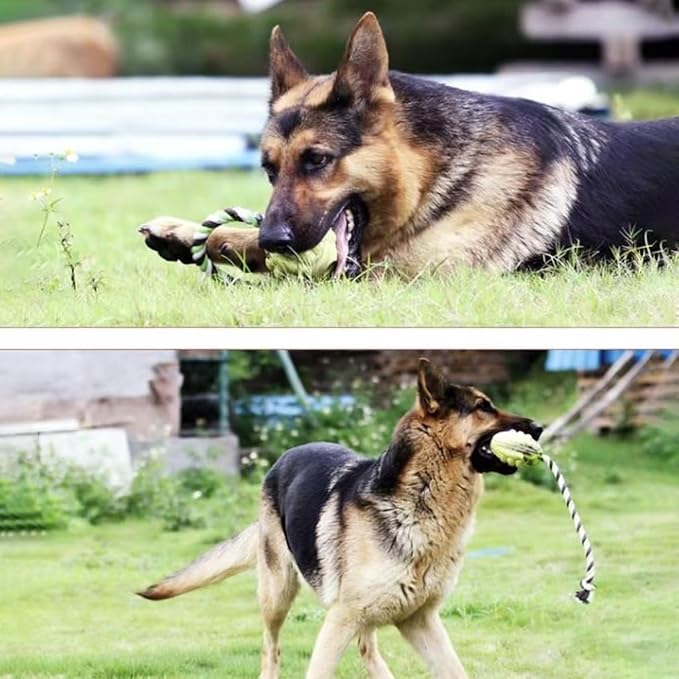 Large Knot Ball Dog Toy, Rubber Ball with Rope, Durable Interactive Fetch and Tug, Dental Cleaning, for Large to Extra Large Dogs