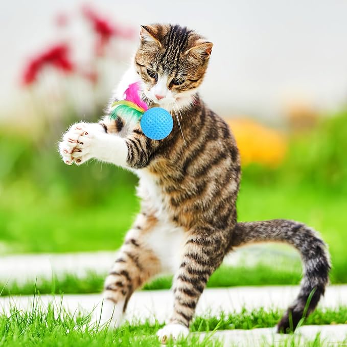 24 Pack Cat Golf Balls for Indoor Kitten Toys, Interactive Cat Pom Pom Ball Toys for Exercise Chase Pounce Entertainment, Random Color