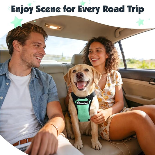 Pawaboo Dog Seat Belt Harness for Car, Dog Car Harness Seatbelt with Double Clips, Adjustable Breathable Pet Vest & Dogs Safety Tether with Elastic Bungee for Small Medium Large Pet, XXL, Blue + Black