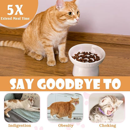 2 Pcs Raised Cat Slow Feeder Bowl Ceramic Elevated Cat Bowls, No Spill High Edge, Anti Vomiting for Pets Kitten Puppies Dry Wet Food and Water, Dishwasher Safe