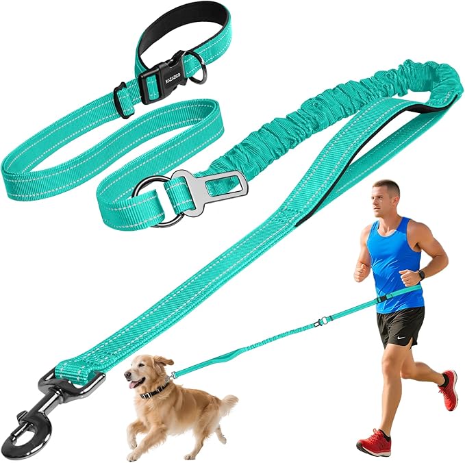 Kazazoo Hands-Free Dog Leash with 6-9FT Adjustable Length - Heavy Duty No Pull Bungee Design, Reflective Safety for Walking, Jogging & Training | Suitable for Medium to Large Dogs Green L