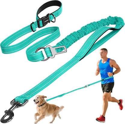 Kazazoo Hands-Free Dog Leash with 6-9FT Adjustable Length - Heavy Duty No Pull Bungee Design, Reflective Safety for Walking, Jogging & Training | Suitable for Medium to Large Dogs Green L