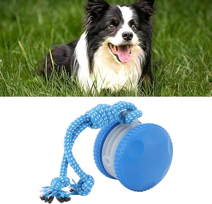 Interactive Dog Toy, Random Electric Automatic Moving and Rolling Ball with Rope, for Small Medium Large Dogs