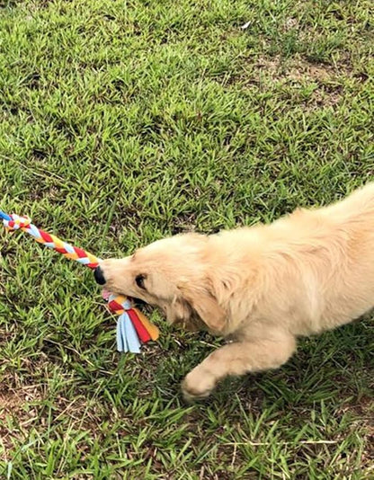 Dewonch Dog Fleece Rope Teaser Toy as Replacement to Chase and Tug (A-2PCS)