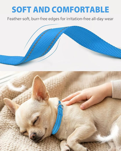 Joytale Puppy Collar, Feather-Light Double-Sided Reflective Nylon Collar for Night Safety, Adjustable Quick-Release for Extra Small Dogs, Sky Blue, XS (3/8" Width)