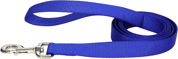 Coastal Pet Single-Ply Dog Leash - Sturdy Pet Leash - Comfortable & Stylish - Resists Fraying - Vibrant & Fade-Resistant Color - Blue, 1" x 4'
