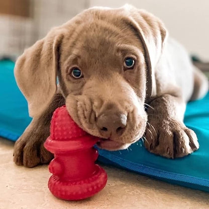 Spunky pup Hydrant Dog Toy Fill with Treats or Kibble | Rugged Double Wall Textured Rubber | Promotes Healthy Teeth and Gums | Dishwasher Safe | For Large Dogs | Made in USA