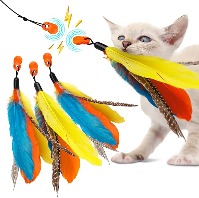 Cat Amazing Snatch Feathers Replacement Pack - 3 Magnetic Feather Attachments for The Snatch Magnetic Wand - Cat Toy Feathers – Cats Can Really Catch!