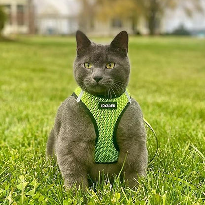 Best Pet Supplies - All Weather Mesh/Plush, Reflective, No Pull Harness for Small, Medium Dogs, Cats - Secure with Hook & Loop Fastener, Buckle, Double D-Rings - Lime Green 2-Tone, XS