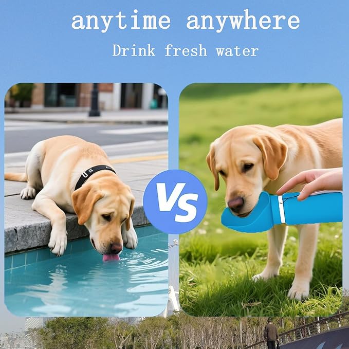 Portable Collapsible Dog Water Bottle - 550ml, Large Wide-Mouth Drinking Bowl, Ideal for Small and Large Dogs on Walks and Outdoor Activities (Blue)