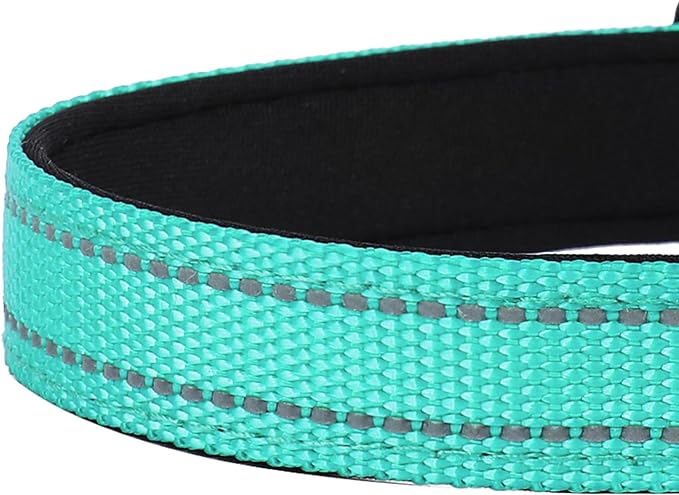 Reflective Dog Collar, Adjustable Soft Neoprene Padded Nylon Pet Collars with Buckle for Small Dogs, Teal,S
