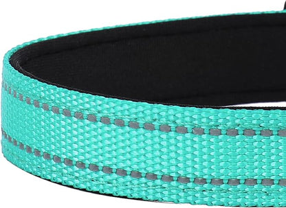 Reflective Dog Collar, Adjustable Soft Neoprene Padded Nylon Pet Collars with Buckle for Extra Large Dogs, Teal,XL
